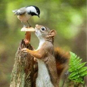 Meet your Posher, Diane